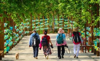 山泉覓清涼，隱匿在大山深處的最美齊長(zhǎng)城百果園休閑觀光活動(dòng)