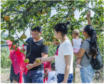 鏡頭下的悠然時(shí)光 探索休閑觀光活動(dòng)中的視覺(jué)敘事